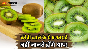 सेहत के लिए बेहद फायदेमंद है kiwi, प्लेटलेट्स की कमी से लेकर बीपी कंट्रोल करने तक, जानिए इसके गजब के 5 फायदे