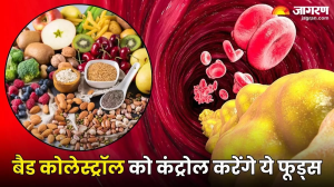 Bad Cholesterol: गर्मियों में बढ़ते कोलेस्ट्रॉल को करना है कंट्रोल, तो आज से ही डाइट में शामिल करें ये 5 चीजें