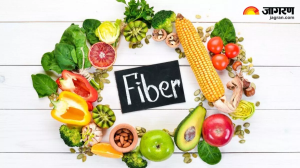 Fibre in Diet: शरीर के लिए क्यों जरूरी है फाइबर, कमी होने पर क्या हो सकते हैं नुकसान?