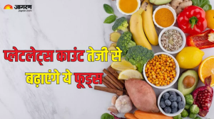 Dengue की वजह से कम हो गया है Platelet Count, तो इन दस सुपरफूड्स से तेजी से बढ़ाए इनकी संख्या