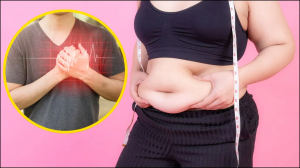 मोटे पेट से बढ़ रहा है हार्ट अटैक और स्ट्रोक का खतरा, बेली फैट घटाने के लिए अपनाएं ये उपाय