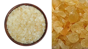 गोंद कतीरा से क्या फायदा होता है और इसका सेवन कैसे करें? कौन सी बीमारियों में है लाभदायक