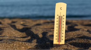 लू लगने से कैसे हो जाती है इंसान की मौत, जानें हीट वेव के दौरान शरीर का क्या होता है हाल?