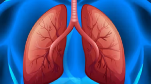 हद से ज्यादा चीनी खाने से सिर्फ किडनी और लिवर पर ही नहीं बल्कि लंग्स पर भी पड़ता है बुरा असर, जानिए कैसे?