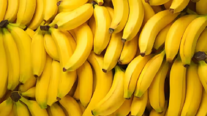 केला खरीदते वक्त कहीं आप भी तो नहीं करते हैं यह गलती? जानिए कैसे एक छोटी सी लापरवाही बन सकती है आपकी दुश्मन