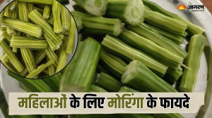 चमत्कारी गुणों का खजाना है Moringa, डाइट में शामिल करने से महिलाओं को मिलते हैं अनगिनत फायदे