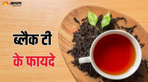 गुणों का भंडार है Black Tea, रोजाना इसे पीने से मिलते हैं ढेर सारे फायदे
