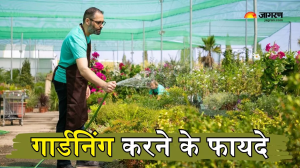 Gardening करने से सेहत को भी मिलते हैं कई फायदे, तनाव और एंग्जायटी से भी मिलती है मुक्ति