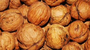 काजू-पिस्ता बादाम की कर देगा छुट्टी, इस ड्राई फ्रूट से ज्यादा फायदेमंद कोई और नहीं!