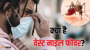 इजरायल में कहर बरपा रहा West Nile Virus, जानें क्या है यह बीमारी और कैसे करें इससे अपना बचाव
