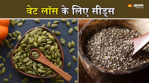 Weight Loss के लिए डाइट में शामिल करें ये 4 तरह के Seeds, कुछ ही दिनों में दिखेगा असर
