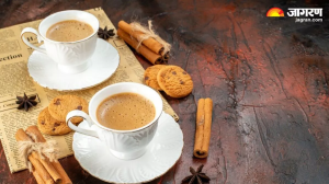 Masala Chai: बरसात के मौसम में भी चाय पीने से मना करते हैं लोग, तो गिना दीजिए ये 5 फायदे; हो जाएगी बोलती बंद!