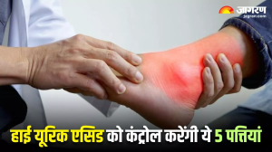 High Uric Acid को कंट्रोल करने में बेहद कारगर हैं ये 5 पत्तियां, बस ऐसे करना होगा इस्तेमाल
