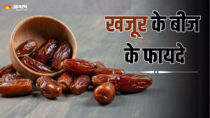 Weight Loss में बेहद असरदार हैं खजूर के बीज, जानें सेहत से लेकर स्किन तक इसके फायदे