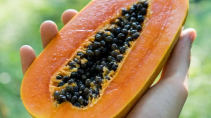 पपीता खाने के बाद भूलकर भी न करें इन चीज़ों का सेवन, वरना हो सकती हैं सेहत से जुड़ी ये समस्याएं