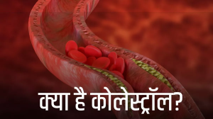 क्या है Cholesterol, जानें इसके प्रकार, सही मात्रा और क्यों है ये शरीर के लिए जरूरी