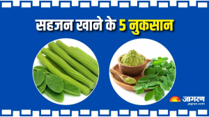 इन 5 लोगों को भूलकर भी नहीं करना चाहिए मोरिंगा का सेवन, हो सकता है भारी नुकसान