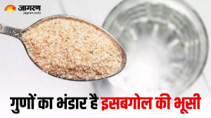 वजन घटाने से लेकर डायबिटीज कंट्रोल करने तक, इसबगोल की भूसी खाने से मिलते हैं ये 5 जबरदस्त फायदे