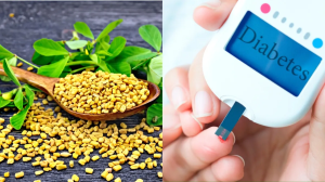 1 चम्मच मेथी दाने में छिपा है सेहत का खजाना, इस समय खाने से डायबिटीज होगा कंट्रोल, मिलेंगे ये अन्य फायदे भी