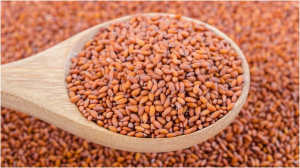एक चम्मच हलीम के बीज और दूर हो जाएगी खून की कमी, रग-रग में भर जाएगा पोषण