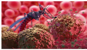 क्या है चांदीपुरा वेसिकुलोवायरस? जिसने ली 5 दिनों में 6 बच्चों की जान, फ्लू जैसे दिखते हैं इसके लक्षण