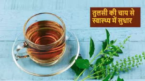 Basil Tea Benefits: बारिश के मौसम में बार-बार हो रही सर्दी-खंसी से परेशान? ऐसे करें तुलसी की चाय का सेवन