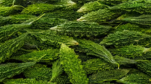 5 Amazing Health Benefits Of Eating Bitter Gourd (Karela) In Monsoon