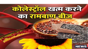 3 तरह के सीड्स से हाई कोलेस्ट्रॉल का बज सकता है बैंड, सुबह-सुबह खा लेंगे तो मोटापा पर भी होगा प्रहार, आजमा के तो देखिए