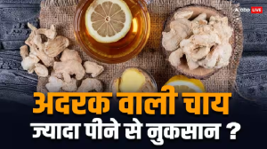 Ginger Tea: तेज अदरक वाली चाय पीने के क्या होते हैं नुकसान? आज ही करें कंट्रोल