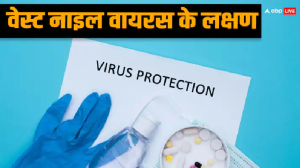 क्या वेस्ट नाइल वायरस से हो सकती है इंसान की मौत? भूलकर भी इग्नोर न करें ये लक्षण