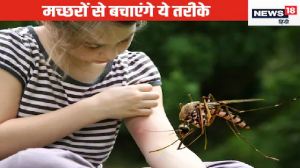 मच्छर काटेगा ही नहीं, अगर अपना लेंगे ये 7 फुलप्रूव तरीके, बारिश में कई बीमारियों से भी बचे रहेंगे