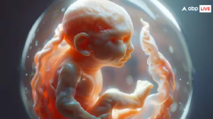 Fertility Treatment : फर्टिलिटी ट्रीटमेंट के लिए कैसा होता है आइडियल कैंडिडेट? आईवीएफ को यूं करें डीकोड