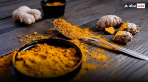 भूल जाते हैं छोटी-छोटी बात, डॉक्टर की सलाह पर खा लीजिए यह चीज, पास नहीं फटकेगा अल्जाइमर