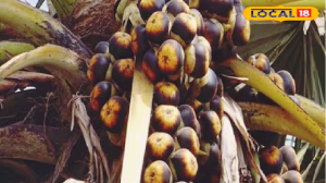 शरीर में पानी की पूर्ति का पावरहाउस है यह 5 रुपए का फल, डायबिटीज के लिए भी रामबाण