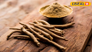 Benefits of Ashwagandha: गर्म दूध में अश्वगंधा मिलाकर पीने के हैं गजब फायदे, अंग-अंग में भर देगा ताकत...जानें इसके 5 फायदे