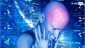 न्यूरोलॉजिक डिसऑर्डर से खुद को कैसे बचाएं? याद रखें ये बातें, जो हमेशा करेंगी आपकी मदद