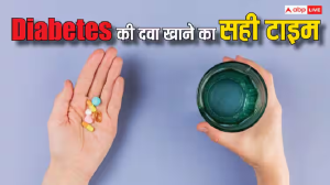 Diabetes Medicine: खाने से पहले या खाने के बाद, डायबिटीज की दवा कब लेना चाहिए? एक्सपर्ट्स से जानें