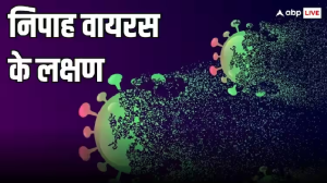 क्या फल खाने से लोगों को शिकार बना रहा निपाह वायरस? केरल में हुई बच्ची की मौत