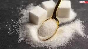 Eat Sugar: मीठा खाने का सही वक्त क्या होता है? जानें क्या कहती है स्टडी