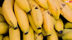 Bananas Side Effect: रोज केले खाने वालों के लिए बुरी खबर, जान लीजिए शरीर पर क्या दिखते हैं साइड इफेक्ट्स