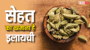 Health Tips: इलायची के दाने में होती है गजब की ताकत, इन बीमारियों का बनता है काल