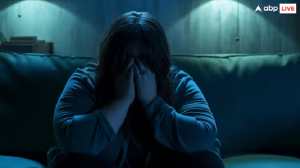 ये पांच चीजें बिगाड़ देती हैं आपकी मेंटल हेल्थ, ऐसे कर सकते हैं बचाव, इकोनॉमिक सर्वे के अनुसार