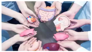 क्या आपको पता है हड्डी और स्किन को भी किया जा सकता है दान ? जानें किन-किन अंगों को किया जा सकता है डोनेट