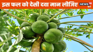 हर सीजन में शरीर के लिए अमृत है यह फल ! कच्चा और पका दोनों फायदेमंद, बरसात में पत्ते भी चमत्कारी