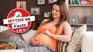 Myths Vs Facts: प्रेग्नेंसी में मीठा खाने का मन करे तो लड़का और चटपटा खाने का मन करे तो लड़की पैदा होगी...जानें क्या है सच