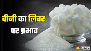 Liver के लिए सजा बन सकती है मीठा खाने की आदत, एक्सपर्ट ने बताए चीनी के इस पर प्रभाव