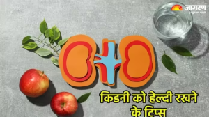 एक्सरसाइज, हेल्दी डाइट के साथ धूम्रपान से दूरी इन 3 चीजों पर ध्यान देकर रख सकते हैं Kidney को हेल्दी