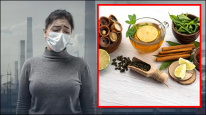 प्रदूषण से बचने के 5 सबसे असरदार और कारगर उपाय, गंदी हवा का नहीं होगा असर, फेफड़ों को मिलेगी राहत